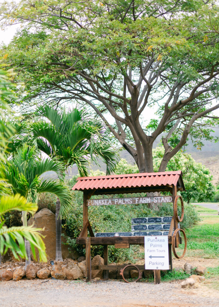 Punakea Farm Stand for Maui Farm Tour 