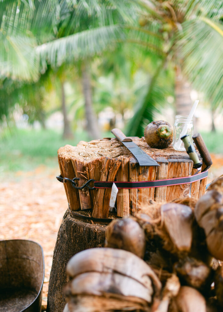 Prepping coconuts at Punakea Farm Tour and Tasting on Maui