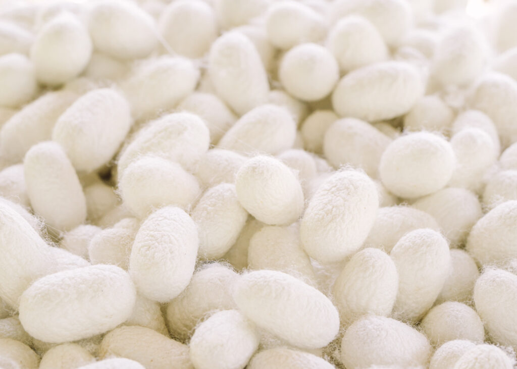 silkworm cocoon extract in japanese beauty products