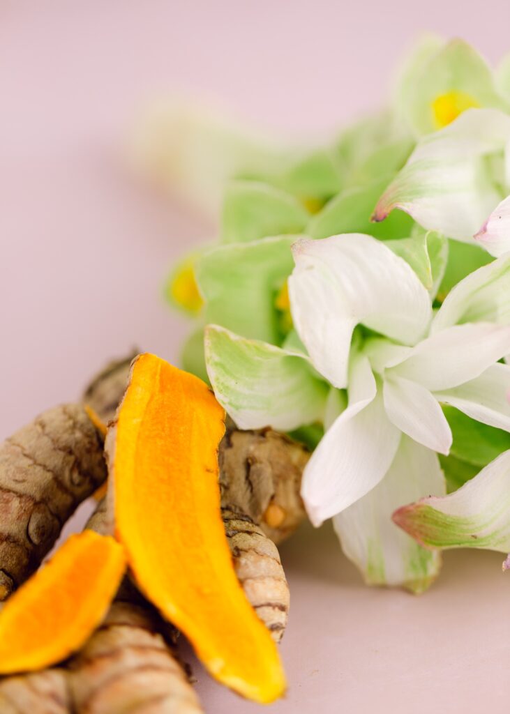 ginger flower hawaii turmeric flower